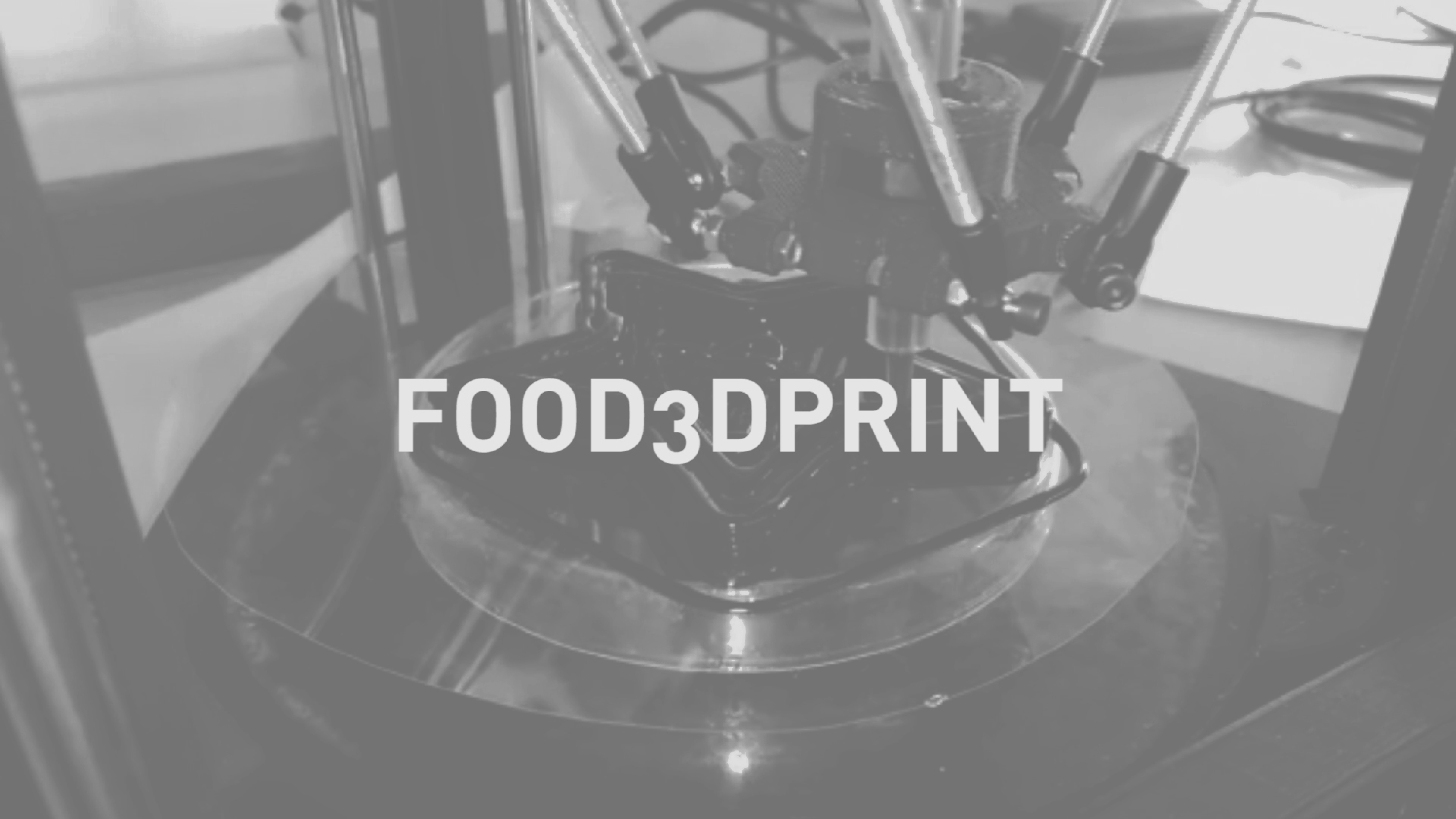 Food3DPrint