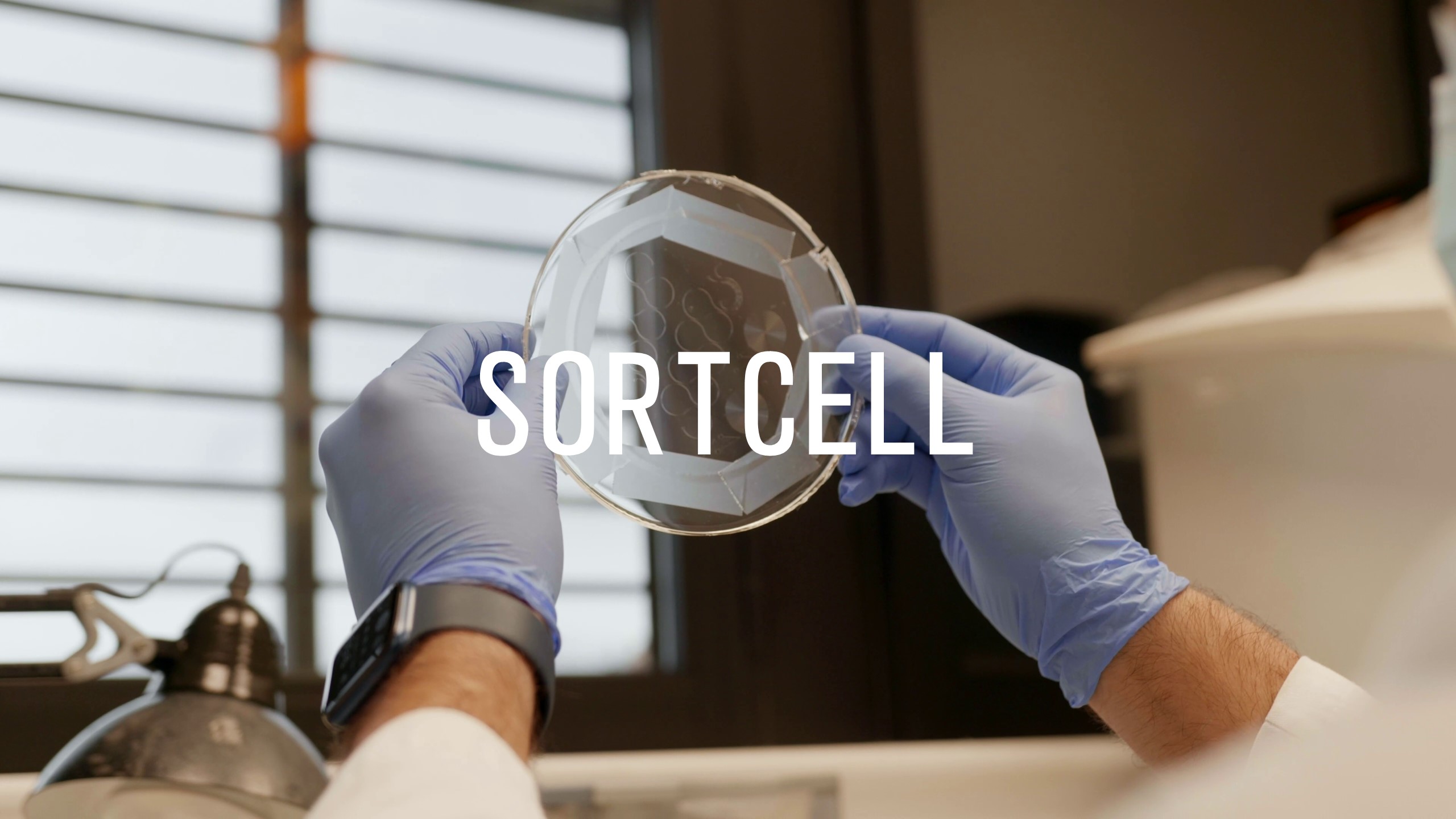 SORTCELL